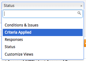 GRC_Custom_Views.png
